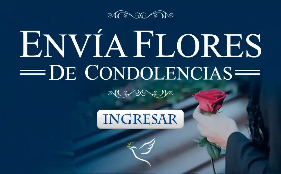 Floreria en San Juan de Lurigancho Delivery de flores y regalos Lima